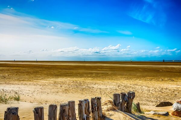 Rømø: discover one of the widest sandy beaches in Europe