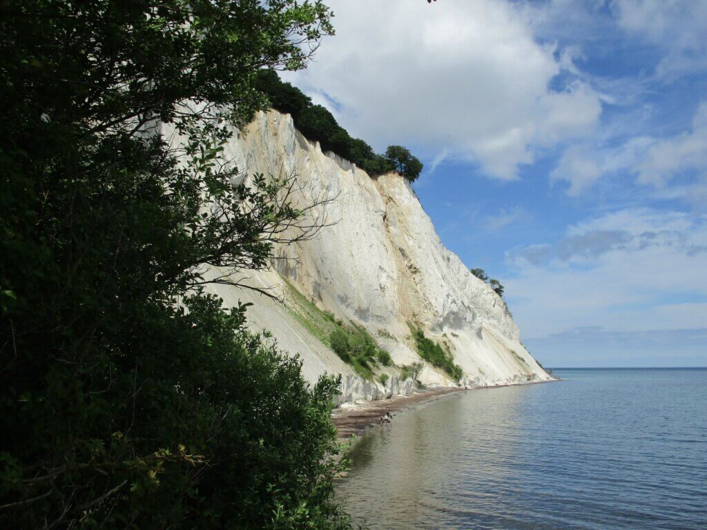 Zealand Impressions Nature Limestone cliffs Møn