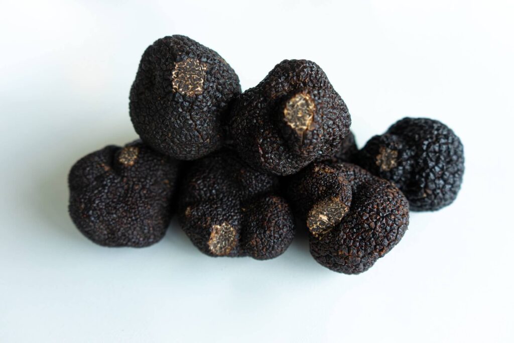 Gotland impressions culinary truffle